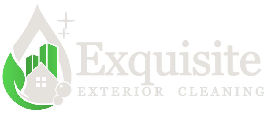 Exquisite Exterior Cleaning